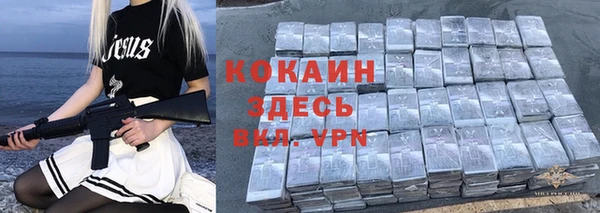 винт Белокуриха