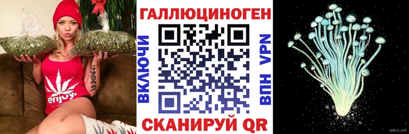 купить наркотик  Курчалой  Галлюциногенные грибы мухоморы 